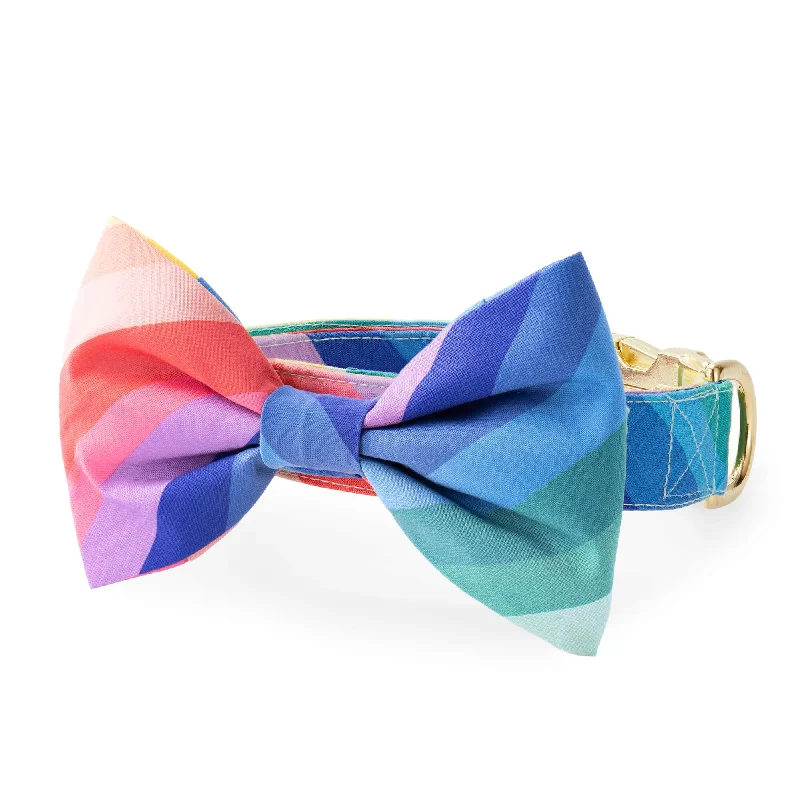 stylish wedding silk bow ties-Over the Rainbow Bow Tie Collar