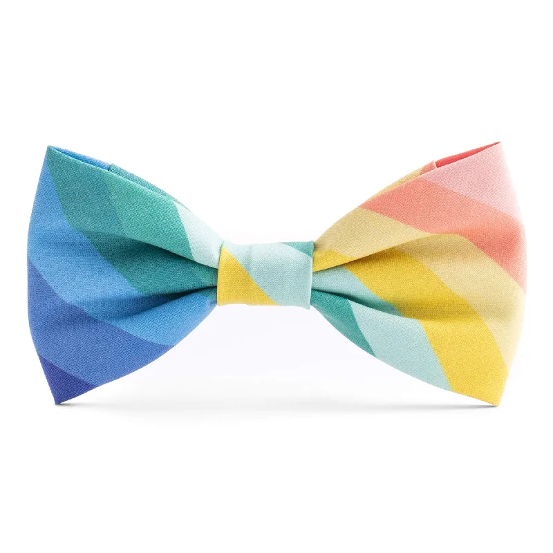 elegant silk necktie ideas for men-Over the Rainbow Dog Bow Tie