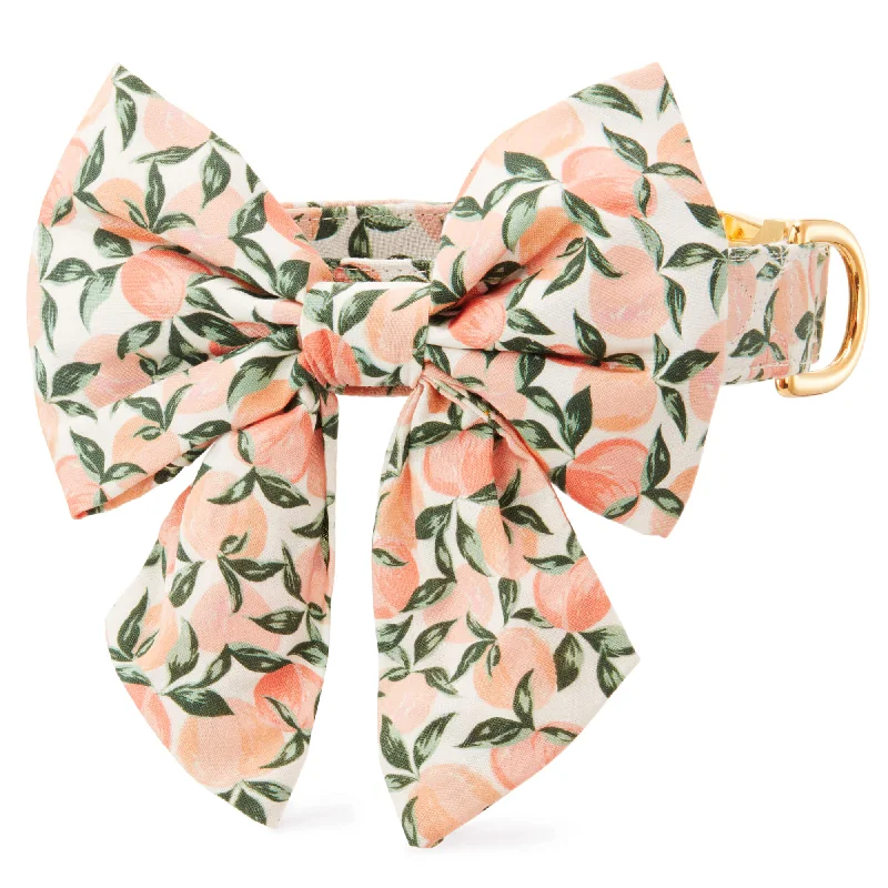 high-quality silk bow ties for office wear-Peaches and Cream Lady Bow Collar